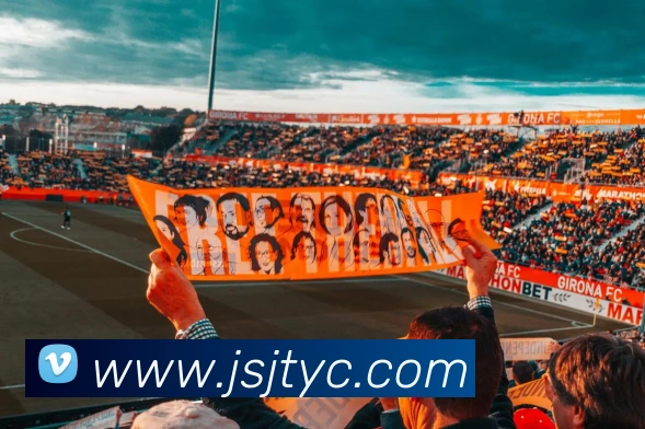 太阳城网站平台生态图